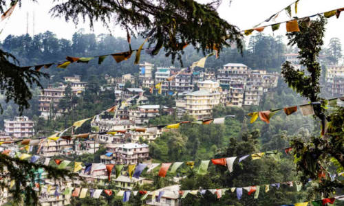 Delhi to Dharamshala